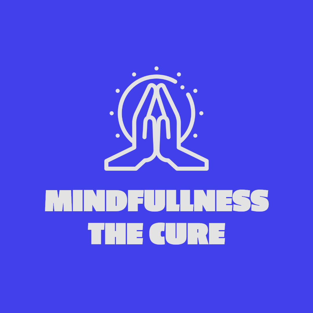 Mindfulness Recovery Hub